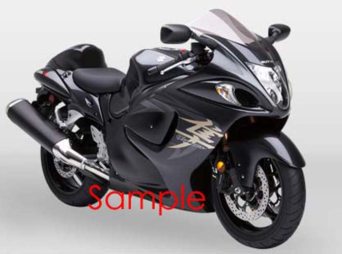 fairing-gsxr1300-0809