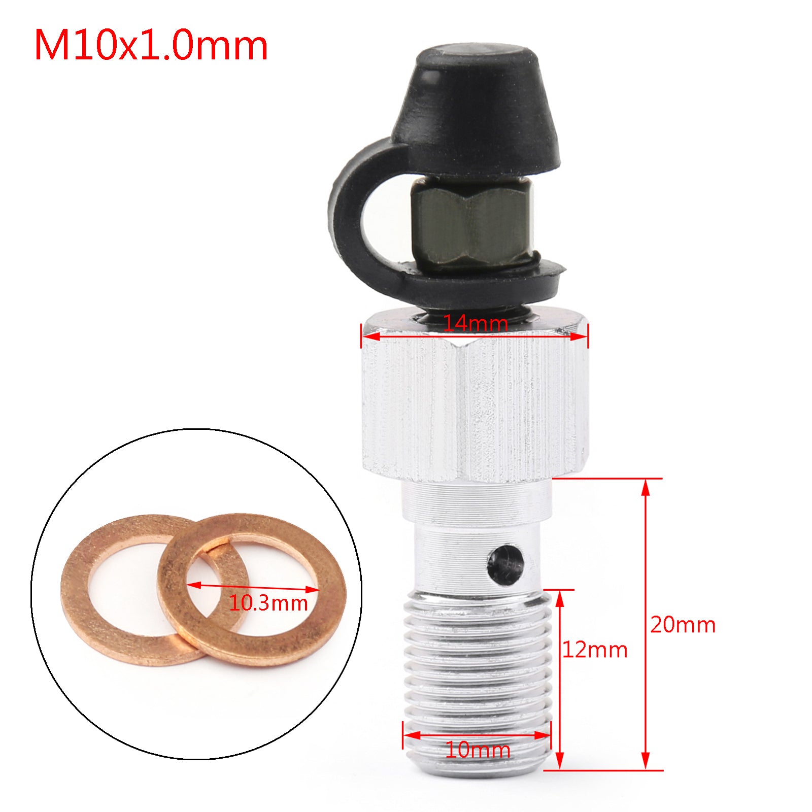 M10x1.0mm /1.25mm Motorcycle Brake Caliper Bleeder Screw Fork Air Bleeder Valves