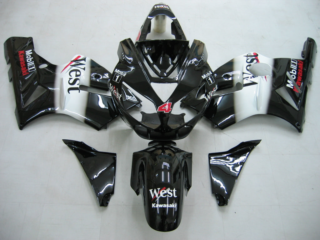 fairing-zx12r-0204