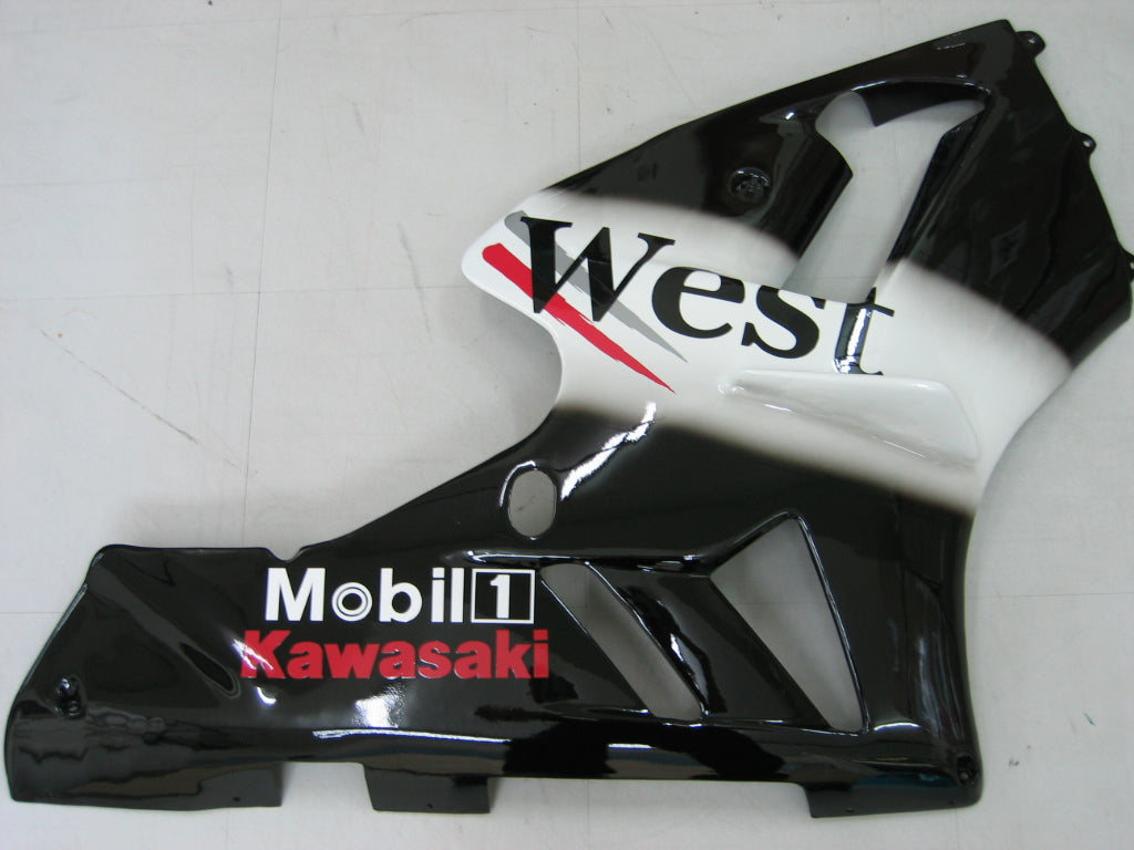 fairing-zx12r-0204