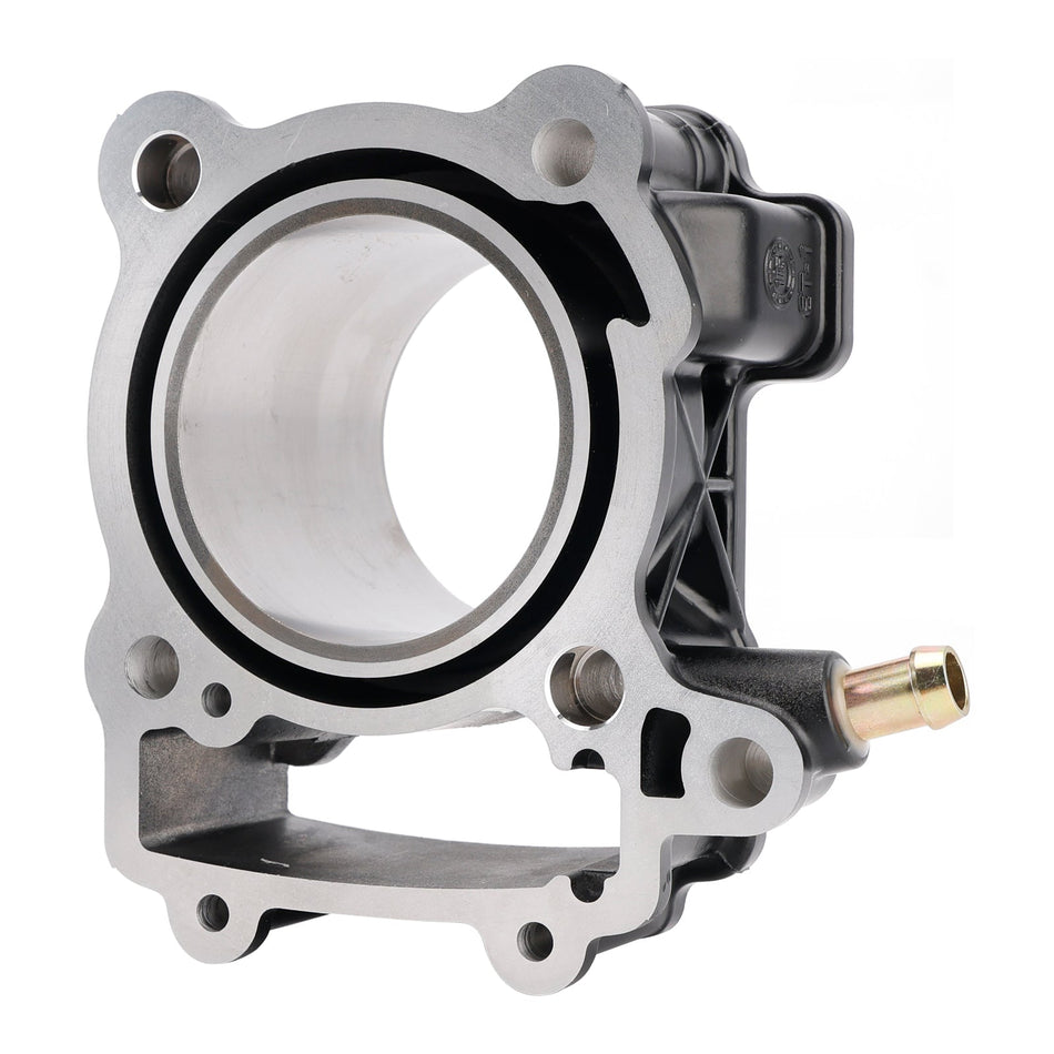 2015-2016 Bajaj Pulsar AS 200 250cc シリンダーピストンキット 36JL0007 JL521002 JL511022