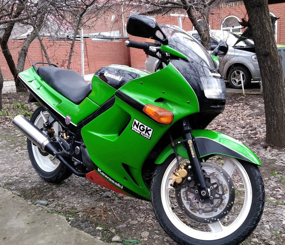 1996-2007 カワサキ ZZR250 インジェクションフェアリングキット ボディワーク ABS